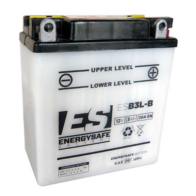 BATTERIE ENERGY SAFE ESB3L-B 12V/3AH Pack Acide Inclus      