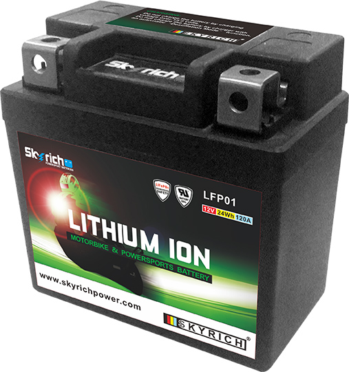 Batterie SKYRICH Lithium  LFP01